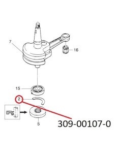 RT060 PLATO DEL CIGUENAL INFERIOR