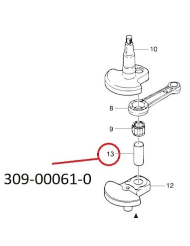 RT058 PASADOR CIGUENAL
