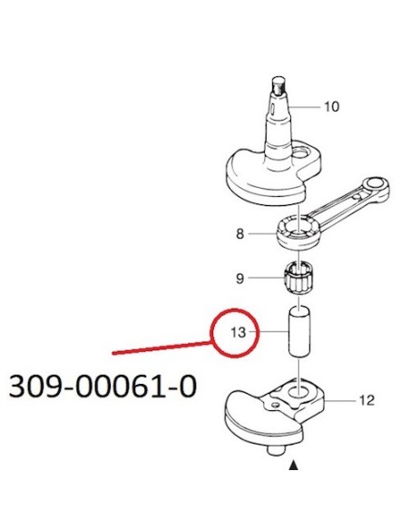 RT058 PASADOR CIGUENAL