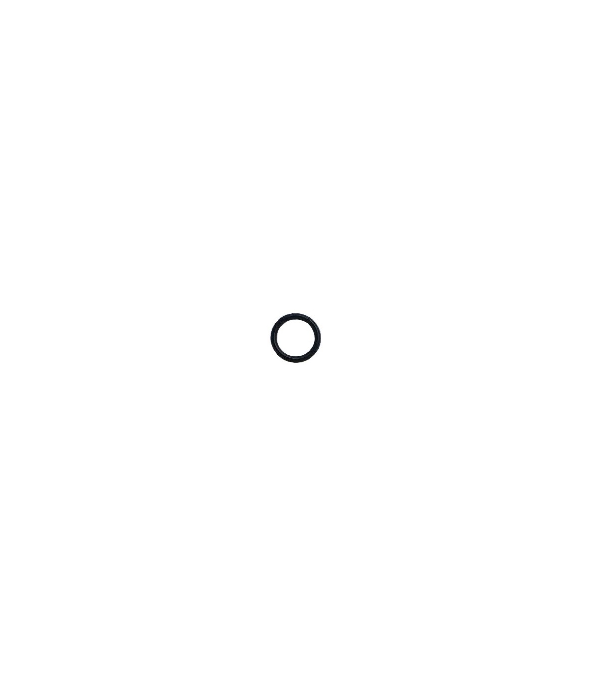 RTZ254 ORING