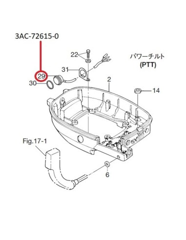 RTP96 INTERRUPTOR