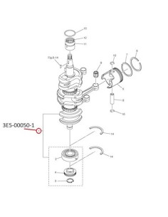 RTW25 CIGUENAL (40D)