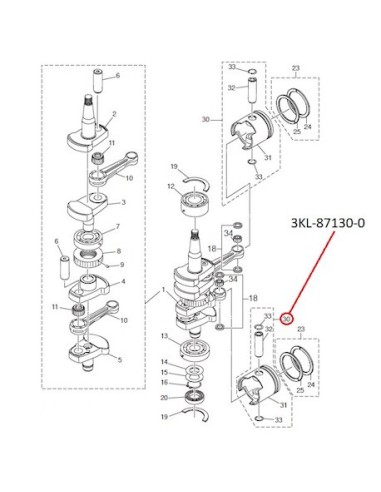 RTX36  KIT REP.PISTON STD