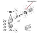 RTZ281 PASADOR PISTON