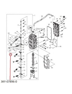 RTX41  KIT VALVULA ESCAPE