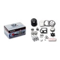 RTZ296 KIT MANTENCION MOTOR MFS40/50A HP
