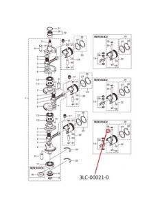 RTU98 PASADOR PISTON