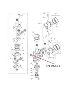 RTZ180 COJUNTO DEL CIGUENAL