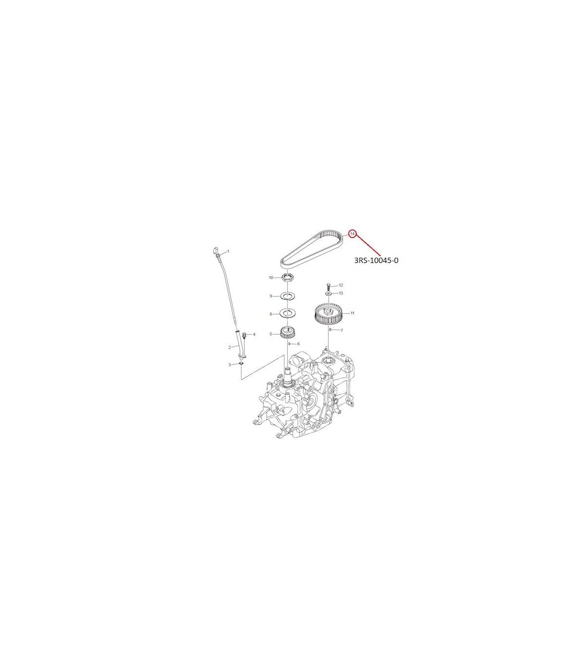 RTZ220 CORREA