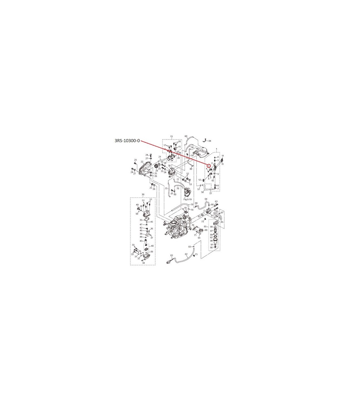 RTZ221 INYECTOR BENCINA