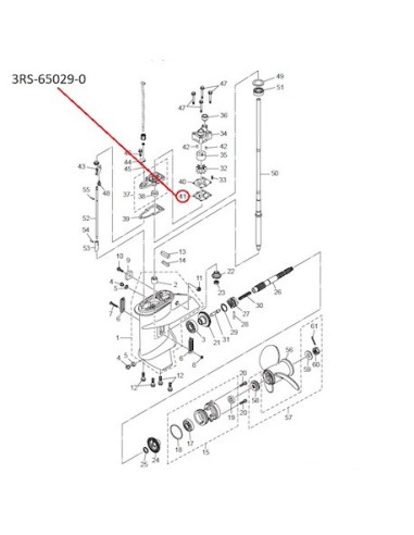 RTZ216 EMPAQUETADURA
