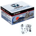 RTZ252 KIT MANTENCION MOTOR MFS 9.9/15/20 HP