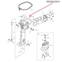 RTZ302 UNUDAD INTERMEDIA  MFS20 HP