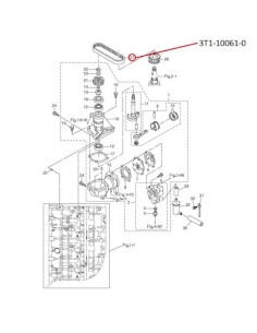 RTR48 CORREA DENTADA