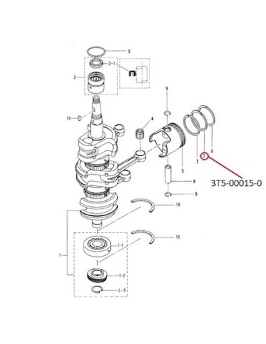 RTN21 ANILLO PISTON