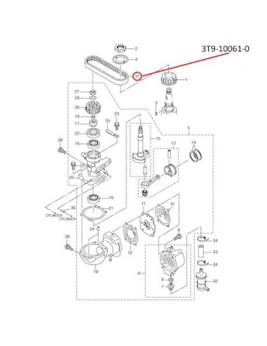 RTK09 CORREA