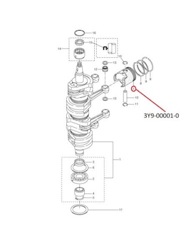 RTM75 PISTON