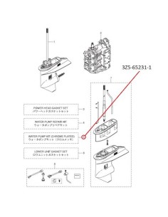 RTX82 KIT BOMBA DE AGUA