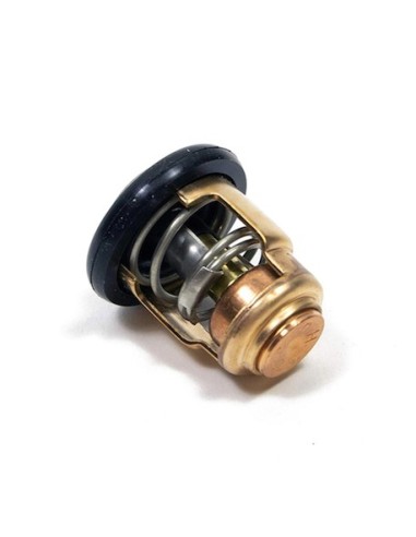 RTZ26 TERMOSTATO