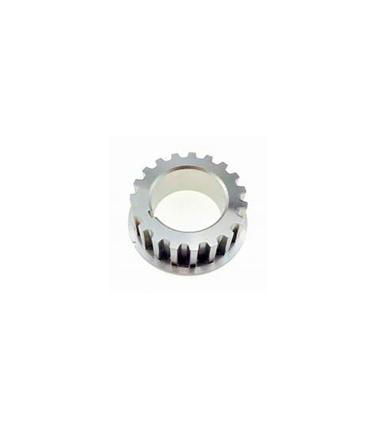 Pinon de correa (833102T)