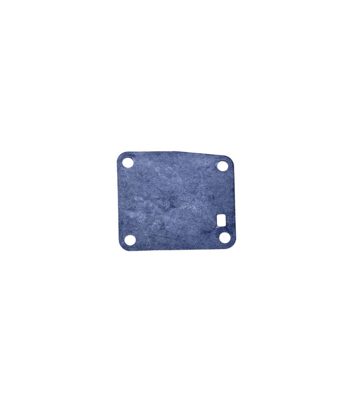 Diafragma interior Bomba Bencina 4-5hp (16325)