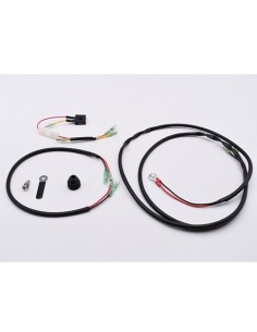 Cargador Batería (16838A4)