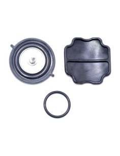 Membrana bencina 8al 15hp 4t (809561A01)