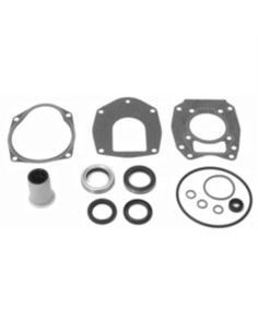 kit de retenes pata 40-50-60hp 4t big foot (43035A05)