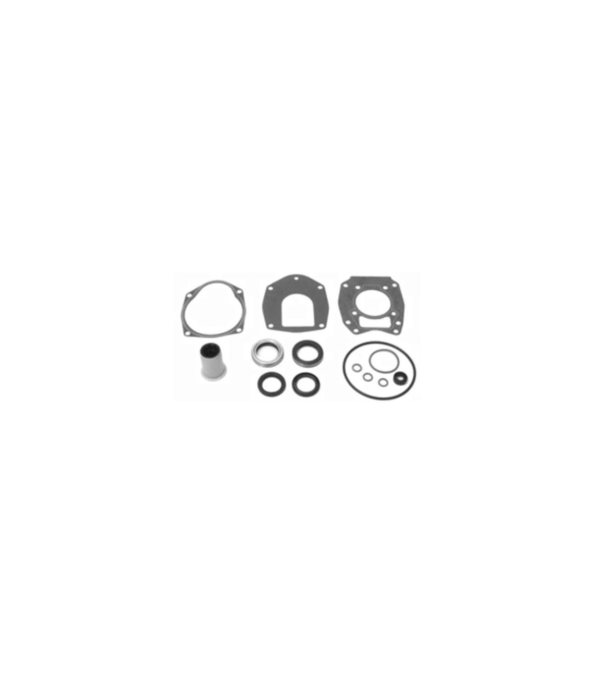 kit de retenes pata 40-50-60hp 4t big foot (43035A05)