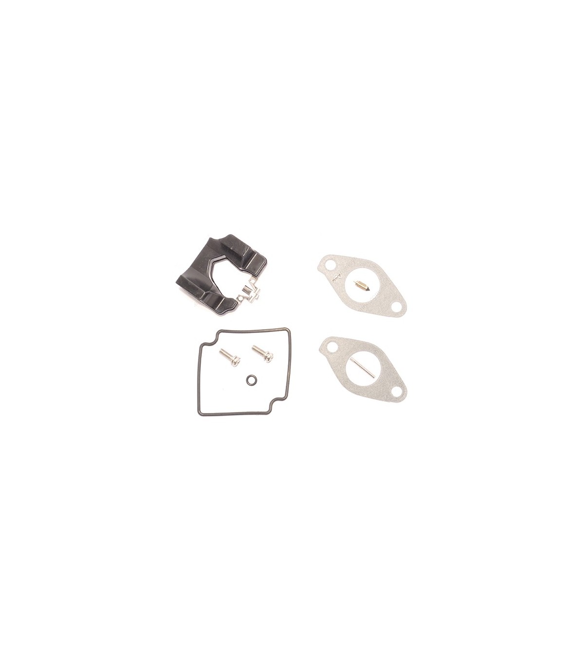 Kit reparación Carburador (8M0090764)
