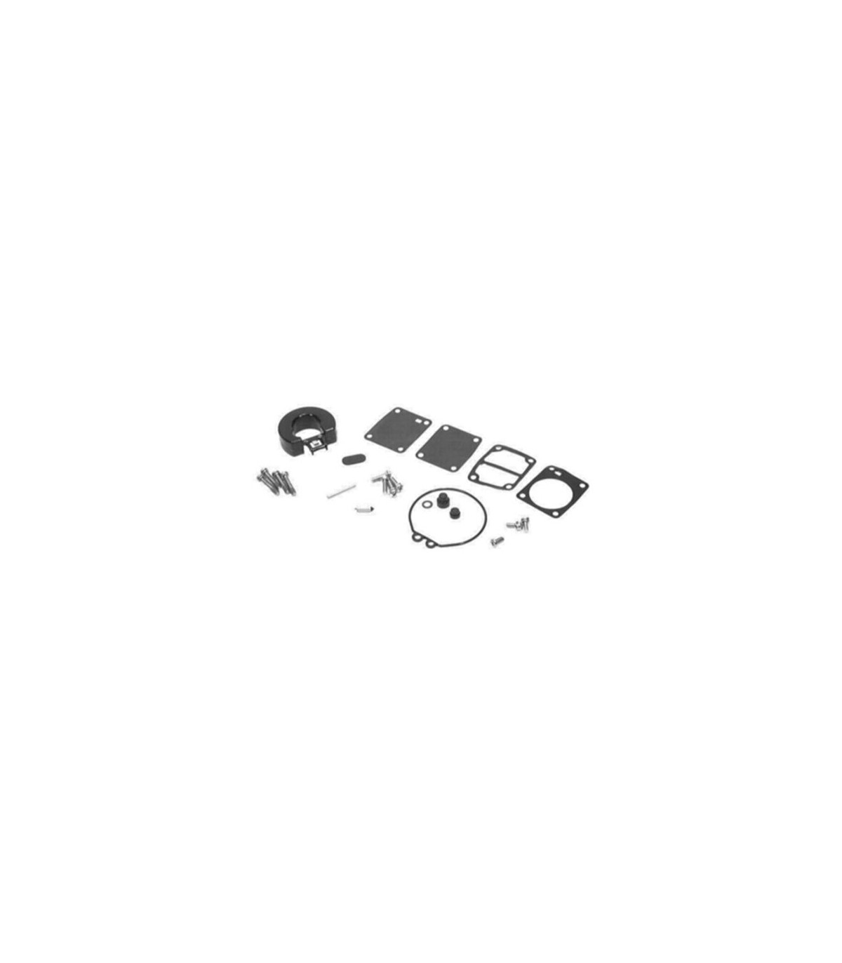 Kit Rep. Carburador 4-5hp (855546A1)