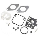 Kit reparación Carburador 15-20hp 4t (8M044577)