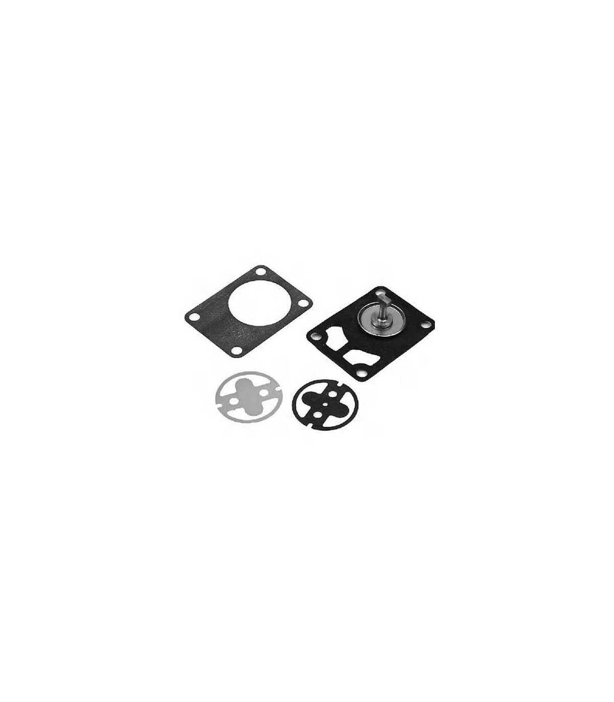 Kit reparación bomba bencina 8-9.9hp 4t (851812A01)