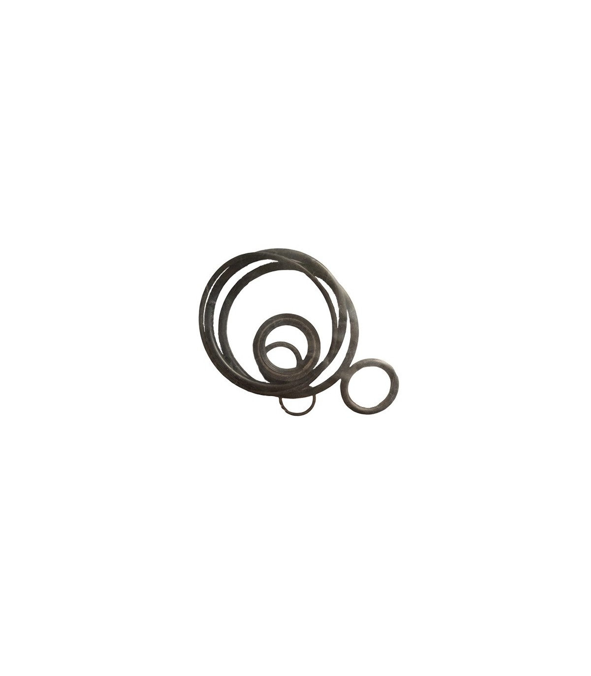 Kit reparacion Orings (811607A1)
