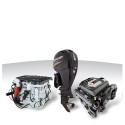 CDs g3v16