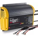 Cargador prosport 12A