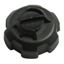 TAPA ESTANQUE  (621501-10)