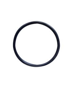 RTZ397 ORING