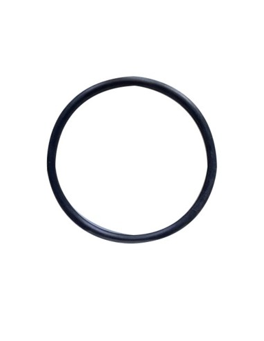 RTZ397 ORING