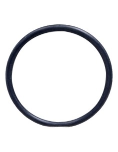 RTZ448 ORING
