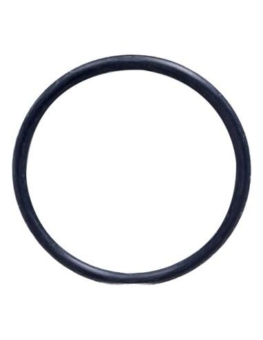 RTZ448 ORING