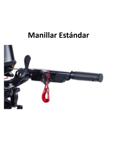 MOTOR TOHATSU MFS 30 HP D EL