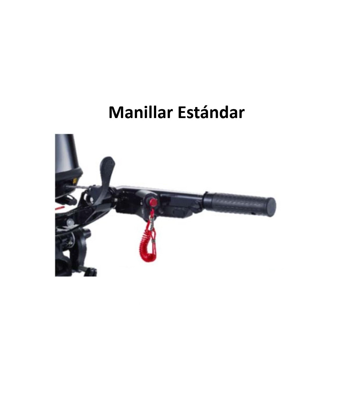MOTOR TOHATSU MFS 30 HP D EL