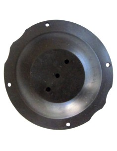 MEMBRANA REPUESTO SP107(RZ01014)