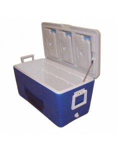 NEVERA 80 LTS(70989)