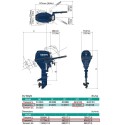 MOTOR TOHATSU MFS 9.8 HP  B EFTS