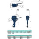 MOTOR TOHATSU MFS 9.8 HP B EPTS