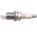 BUJIA RC12LYC